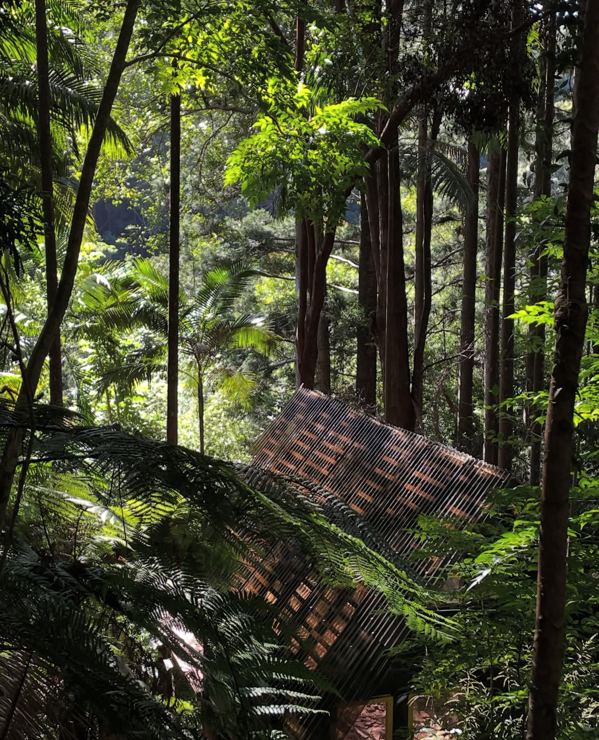 Palm Cabin