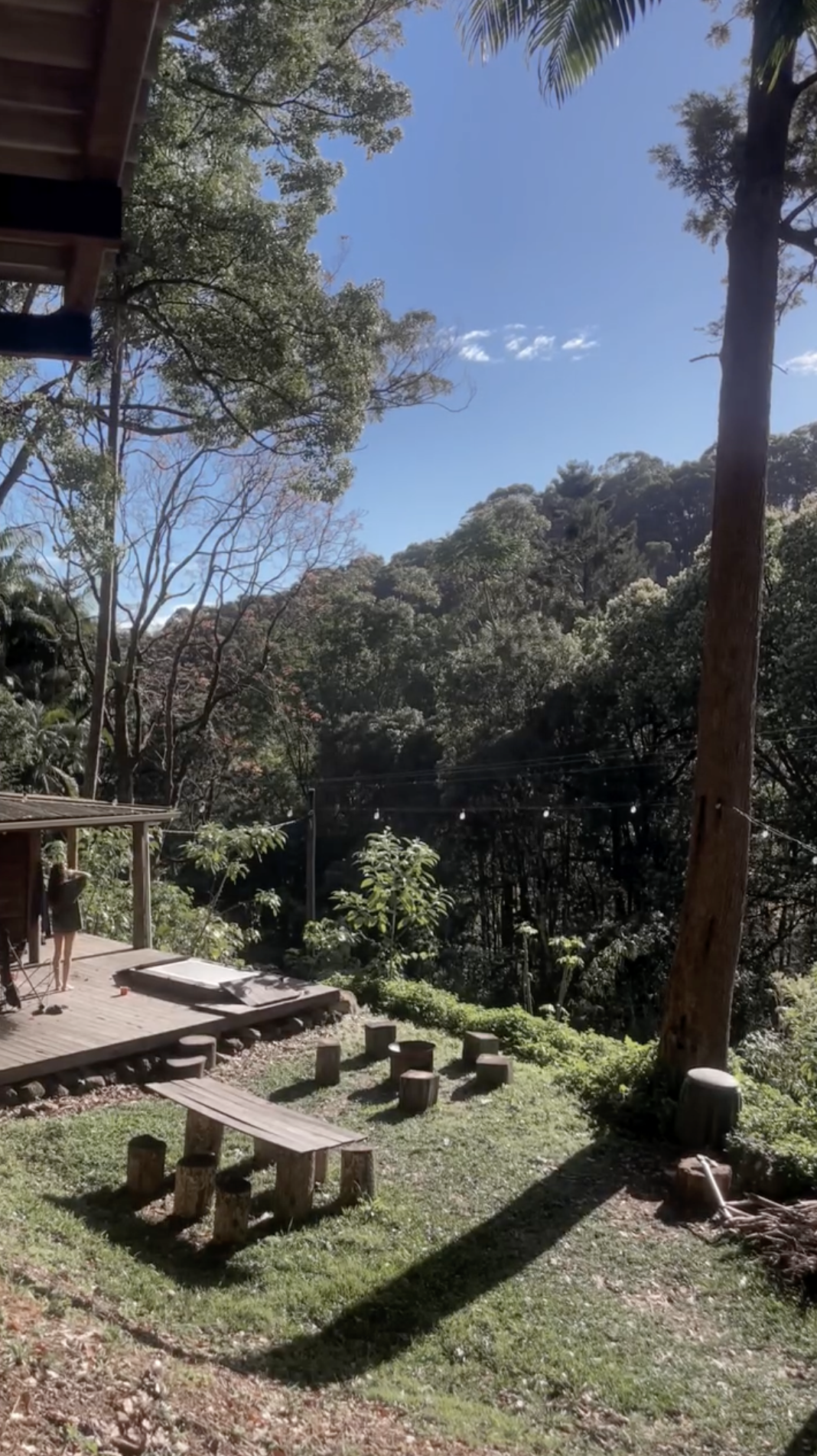 Rainforest deck at Tallowwood Cabin
