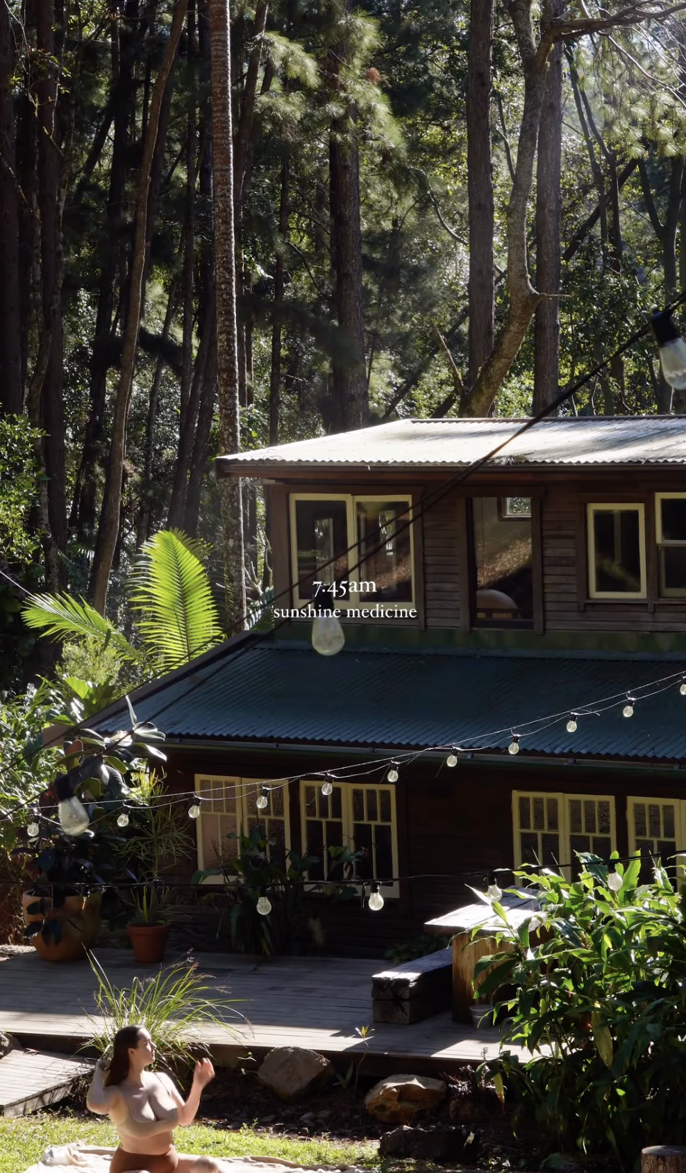Rainforest canopy views from Pine Cabin